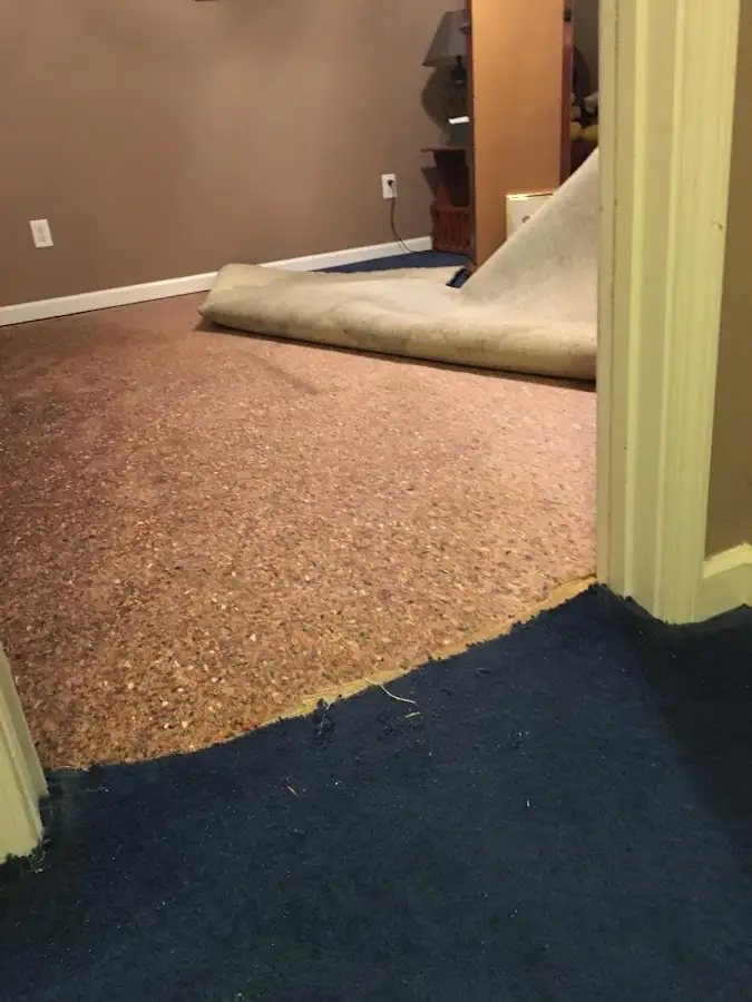 Carpet pad removal revealing water damage during Drying & Dehumidification in Wauconda