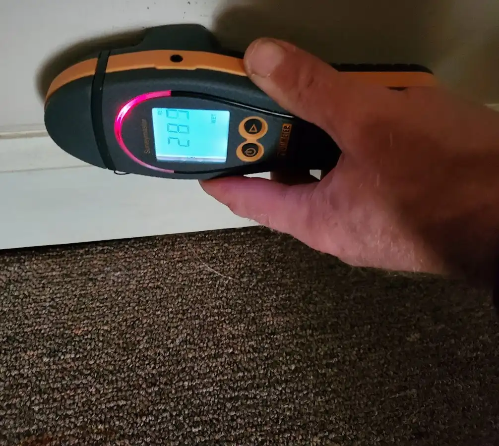 Moisture detection at baseboard during Burst Pipe Cleanup in Wauconda